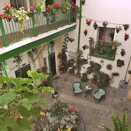 Apartamentos Jerez-3
